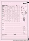 Anamnesebogen Urologie DIN A4 500 Blatt Unterlagen für die Dokumentation