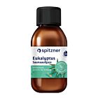 Saunaaufguss Eukalyptus 125 ml