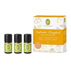 Duftendes Zitrusglück 3 x 5 ml