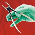 Zahnzangen Instrumente für die Veterinärmedizin