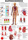 Poster "Bluthochdruck" 50x70cm
