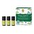 Duftende Waldkraft Set 3 x 5 ml