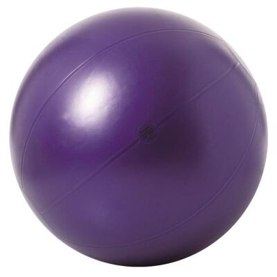 Theragym Ball ABS® Gymnastikball