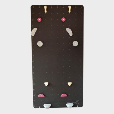 PhysioClimb Kletterwand Standard Eco Kletterwand