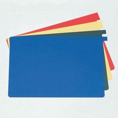 Alphanorm Signalkarten DIN A5 quer mit Seitenlasche Karten für die Dokumentation