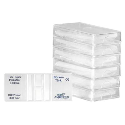 Zählkammern Zählkammer