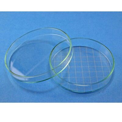 Doppelschale nach Petri Doppelschale nach Petri von Karl Hecht in verschiedenen Größen