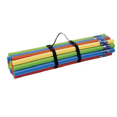 Carrying Belt Tragegurt für Pool-Noodle verstellbar