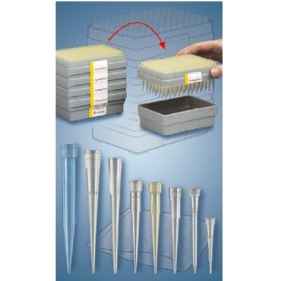 Pipettenspitzen Qualitäts-Pipettenspitzen von Sarstedt für Mikroliter-Pipetten