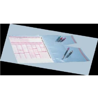 Versandhüllen PE 320x440x2 mm 300 St.