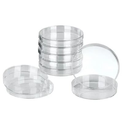 Petrischalen mit Deckeln Laborschale