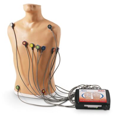 15-Kanal-EKG-Platzierungstrainer