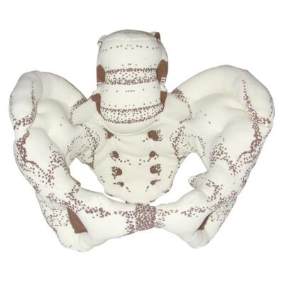 Beckenmodell aus Stoff