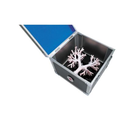 Bronchoskopietrainer Modell