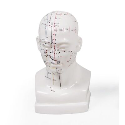 Chinesischer Akupunkturkopf