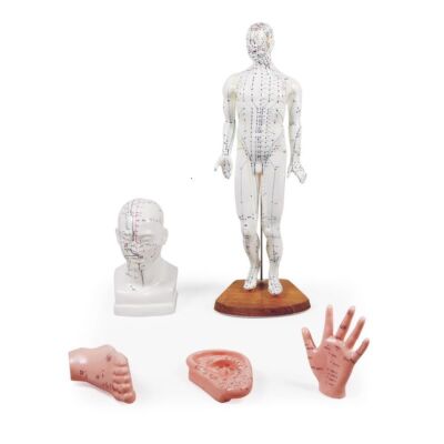 Chinesisches Akupunkturset 5 Modelle