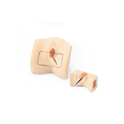 Episiotomie-Vernähungs-Simulator