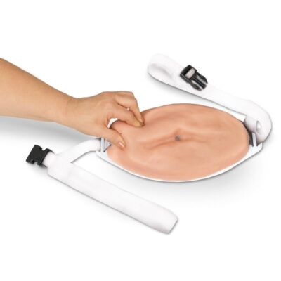 Injektionsbauch Übungsmodell