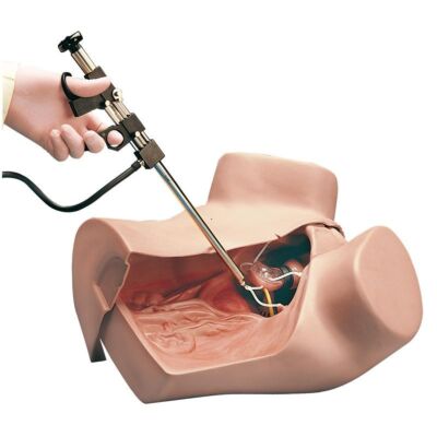 Gynäkologischer Simulator