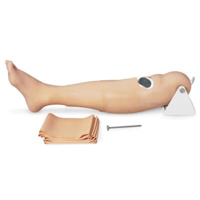 Intraossäres Trainingsbein Erwachsener