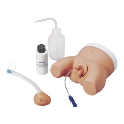 Katheterisierungs-Simulatoren