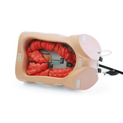 Koloskopie-Trainingsmodell