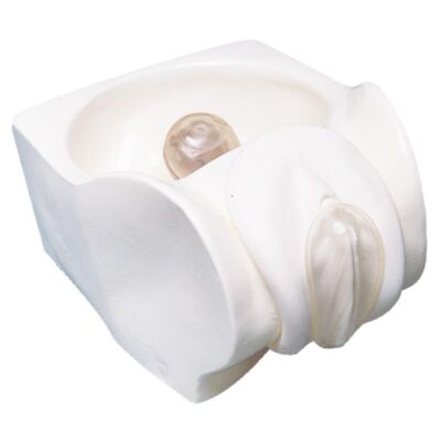 Scheidenkondom-Modell