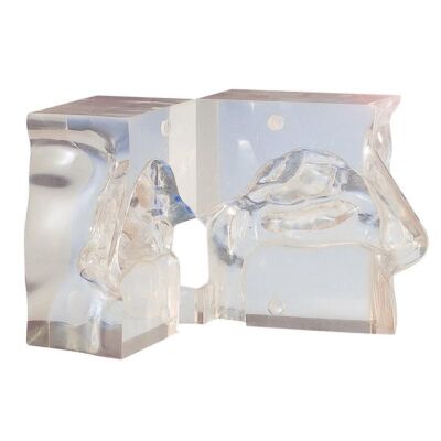 Transparentes Nasenmodell dreiteilig