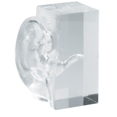 Transparentes Ohrmodell