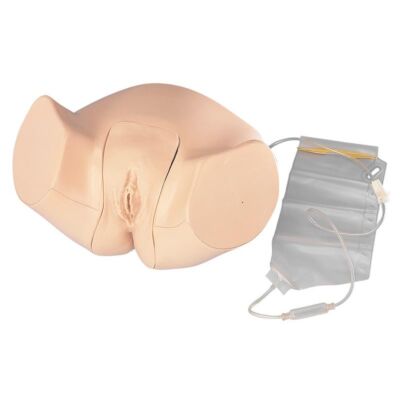 Eröer-Zimmer Weibliches Katheterisierungsmodell
