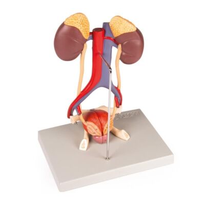 Harnapparat Modell 5-teilig