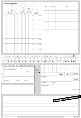 Karteikarte DIN A5 Schwangerschaftsdokumentation 250 Stück Übersicht über die Entwicklung des Ungeborenen