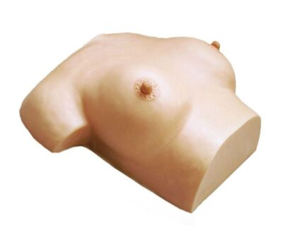 Brustpflege und -massagemodell liegend