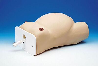 Übungsmodell Äußere Wendung