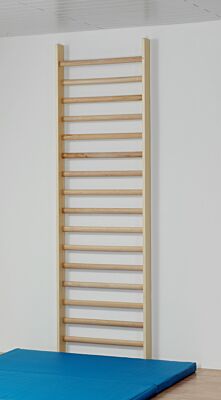 Sprossenwand mit ovalen Sprossen