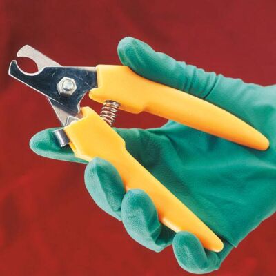 Krallenzange starke Ausführung 16 cm Instrument für die Veterinärmedizin