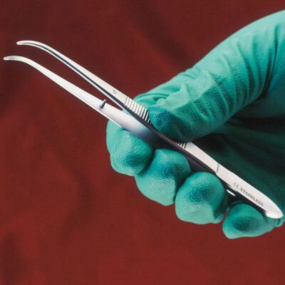 Perry Zahnpinzette 13 cm Instrument für die Veterinärmedizin