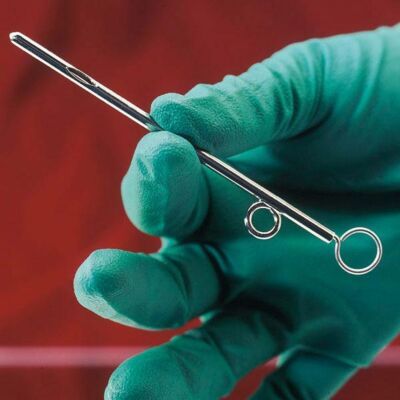 Milchkatheter nach Fürstenberg Instrument für die Veterinärmedizin