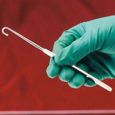 Kastrierhaken für Katzen Instrument für die Veterinärmedizin