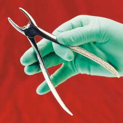 Zahnzangen Instrumente für die Veterinärmedizin