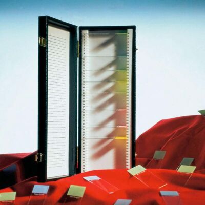 Objektträgerkasten für 100 Objektträger Aufbewahrungskasten für Objektträger