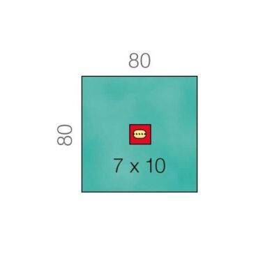 Raucodrape PRO Augentuch 80 x 80 cm Loch zentral 30 Stück Ein-Tuch-Abdeckung