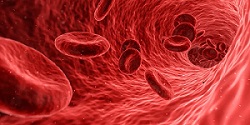 Blood Cancer Day – 28. Mai 2022-Bild